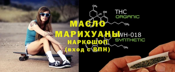 хмурый Алексин