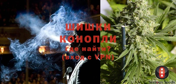 ECSTASY Алзамай