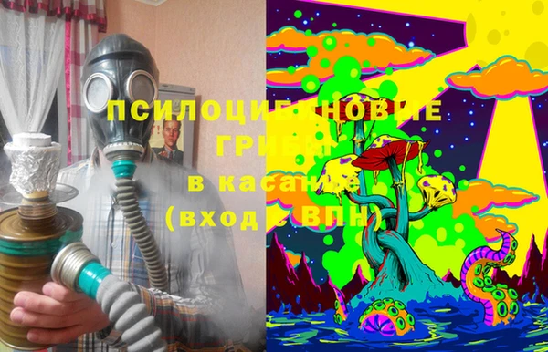 ECSTASY Алзамай