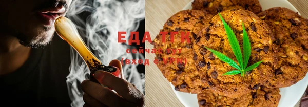 ECSTASY Алзамай