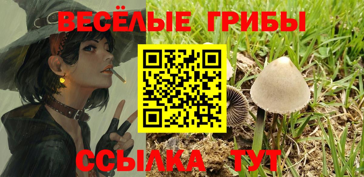 Псилоцибиновые грибы мухоморы  Вход с VPN  Татарск  Галлюциногенные грибы мухоморы 